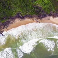 Onde a mata encontra o mar