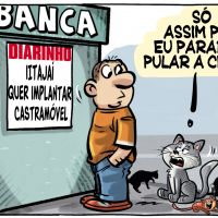 Itajaí quer implantar castramóvel