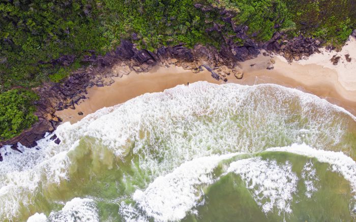 Onde a mata encontra o mar