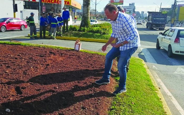 Taliano plantando girassóis
