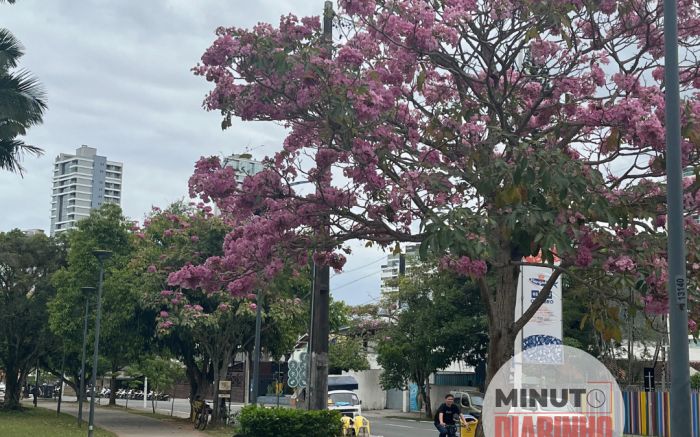 Verão catarinense será de calorão de chuvas intensas