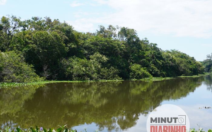 Parque Ilha das Capivaras pode virar um parque de verdade após 20 anos