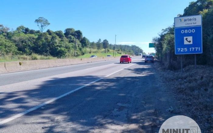 Arteris não vai pagar prejuízo de dono de Land Rover destruída após colisão com vaca