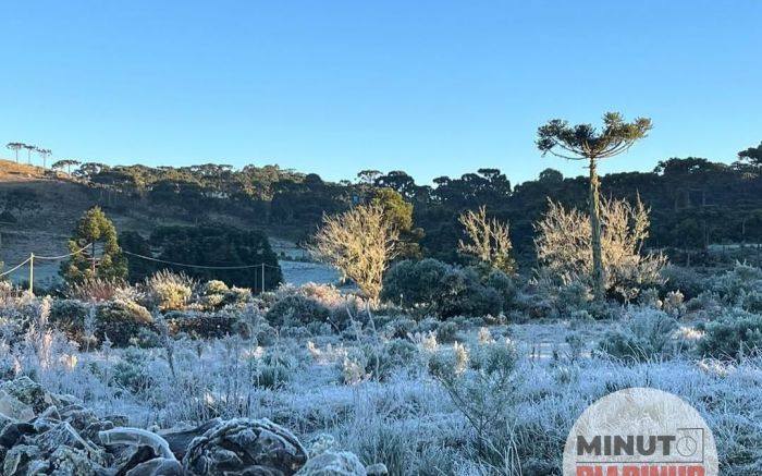 Friaca deixou 30 cidades com temperaturas negativas; Itajaí teve sensação de 0°
