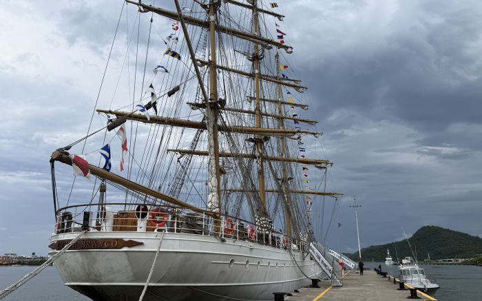 CISNE BRANCO EM ITAJAÍ