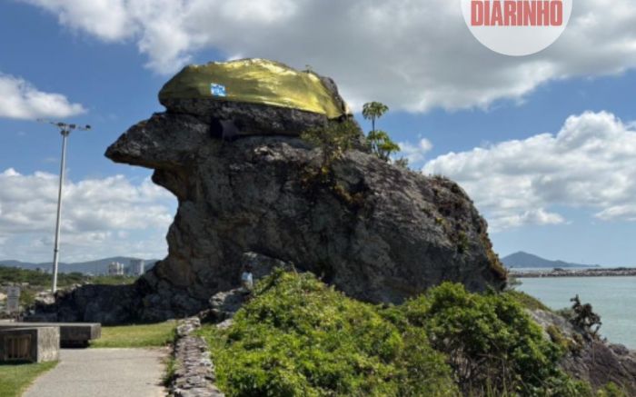 Bico do Papagaio entra no clima do carnaval com fantasia de pirata